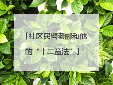 社区民警老郦和他的“十二章法”