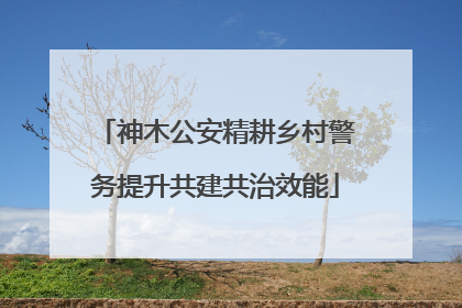 神木公安精耕乡村警务提升共建共治效能
