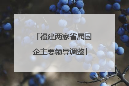 福建两家省属国企主要领导调整