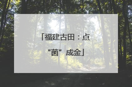 福建古田：点“菌”成金