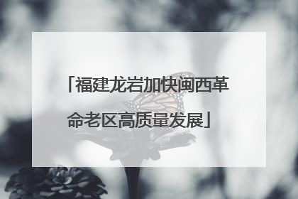 福建龙岩加快闽西革命老区高质量发展
