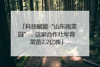 科技赋能“山东南菜园”，这家合作社年育菜苗2.2亿株