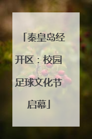 秦皇岛经开区：校园足球文化节启幕