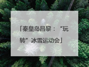 秦皇岛昌黎：“玩转”冰雪运动会