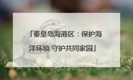 秦皇岛海港区：保护海洋环境 守护共同家园