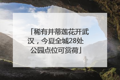 稀有并蒂莲花开武汉，今夏全城28处公园点位可赏荷