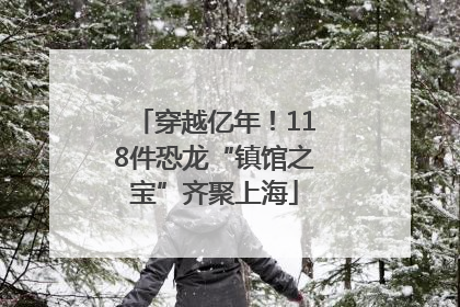 穿越亿年！118件恐龙“镇馆之宝”齐聚上海