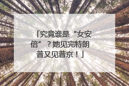 究竟谁是“女安倍”？她见完特朗普又见普京！
