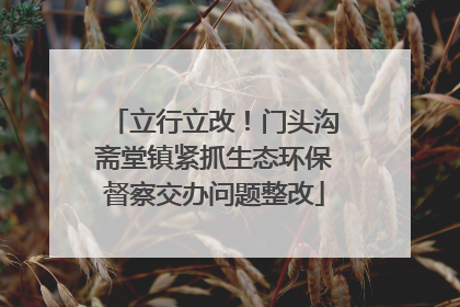立行立改！门头沟斋堂镇紧抓生态环保督察交办问题整改