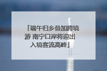 端午归乡叠加跨境游 南宁口岸将迎出入境客流高峰