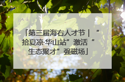 第三届海右人才节｜“拾夏凉·华山站”激活“生态聚才”强磁场