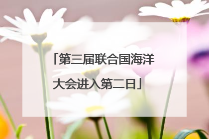 第三届联合国海洋大会进入第二日