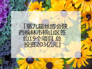 第九届丝博会陕西榆林市横山区签约19个项目 总投资203亿元