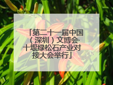 第二十一届中国（深圳）文博会·十堰绿松石产业对接大会举行