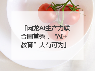 网龙AI生产力联合国首秀，“AI+教育”大有可为