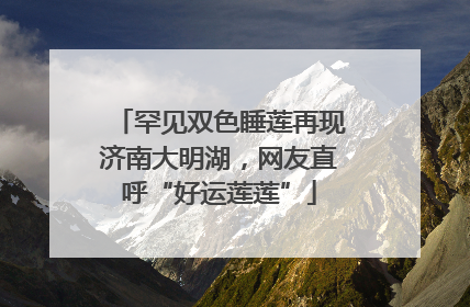 罕见双色睡莲再现济南大明湖，网友直呼“好运莲莲”