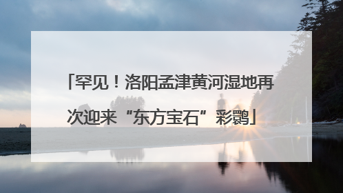 罕见！洛阳孟津黄河湿地再次迎来“东方宝石”彩鹮