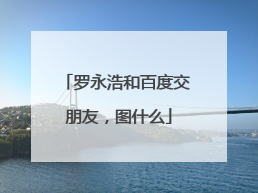 罗永浩和百度交朋友，图什么