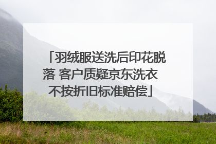 羽绒服送洗后印花脱落 客户质疑京东洗衣不按折旧标准赔偿
