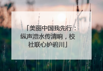 美丽中国我先行：纵声澧水传清响，校社联心护碧川