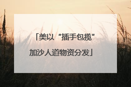 美以“插手包揽”加沙人道物资分发