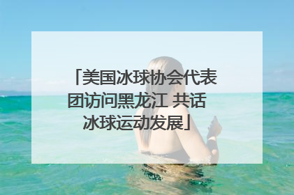美国冰球协会代表团访问黑龙江 共话冰球运动发展