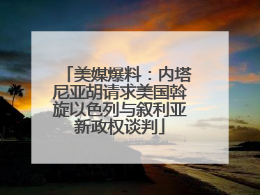 美媒爆料：内塔尼亚胡请求美国斡旋以色列与叙利亚新政权谈判