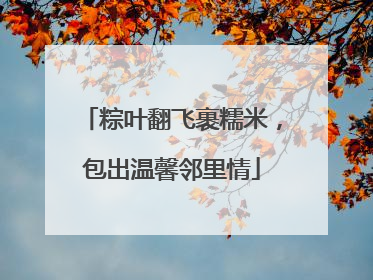 粽叶翻飞裹糯米，包出温馨邻里情