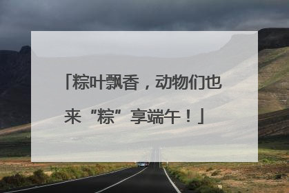 粽叶飘香，动物们也来“粽”享端午！