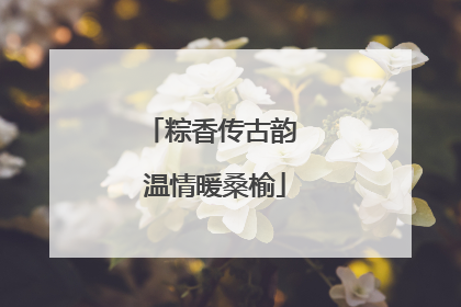 粽香传古韵 温情暖桑榆