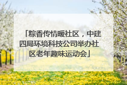 粽香传情暖社区，中建四局环境科技公司举办社区老年趣味运动会