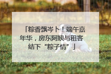 粽香飘岑卜！端午嘉年华，房东阿姨与租客结下“粽子情”