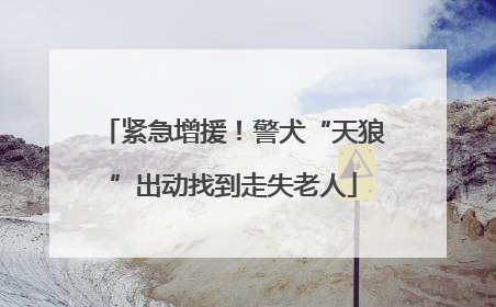 紧急增援！警犬“天狼”出动找到走失老人