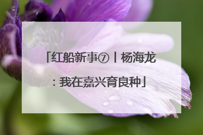 红船新事⑦丨杨海龙：我在嘉兴育良种