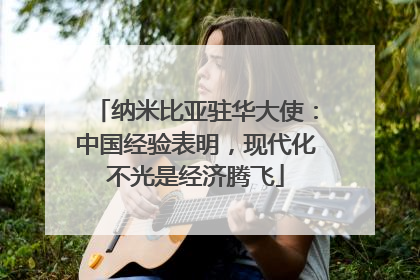 纳米比亚驻华大使：中国经验表明，现代化不光是经济腾飞