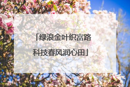 绿浪金叶织富路 科技春风润心田
