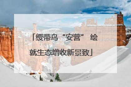 绶带鸟“安营” 绘就生态增收新景致