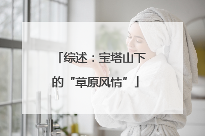 综述：宝塔山下的“草原风情”