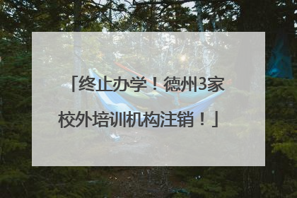 终止办学！德州3家校外培训机构注销！