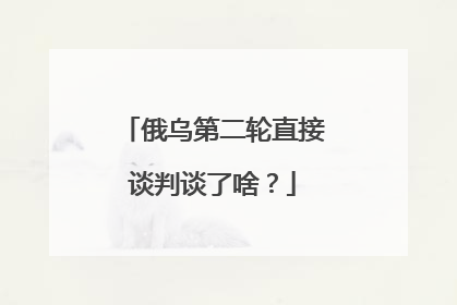 俄乌第二轮直接谈判谈了啥？