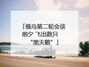 俄乌第二轮会谈前夕 飞出数只 “黑天鹅”