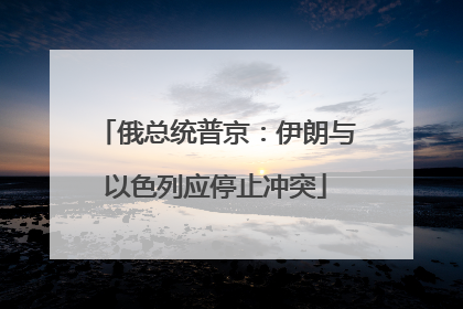 俄总统普京：伊朗与以色列应停止冲突