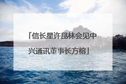 信长星许昆林会见中兴通讯董事长方榕