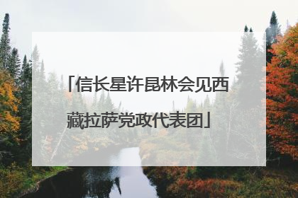 信长星许昆林会见西藏拉萨党政代表团