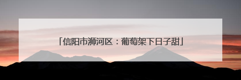 信阳市浉河区：葡萄架下日子甜