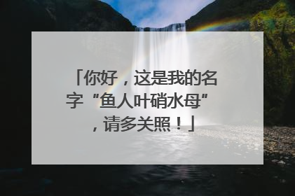 你好，这是我的名字“鱼人叶硝水母”，请多关照！