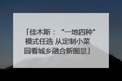 佳木斯：“一地四种” 模式任选 从定制小菜园看城乡融合新图景