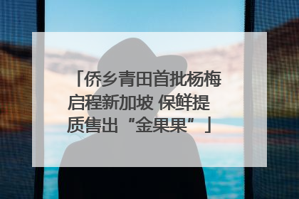 侨乡青田首批杨梅启程新加坡 保鲜提质售出“金果果”