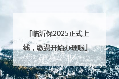 临沂保2025正式上线，缴费开始办理啦