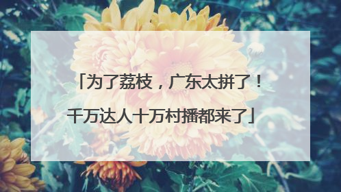 为了荔枝，广东太拼了！千万达人十万村播都来了
